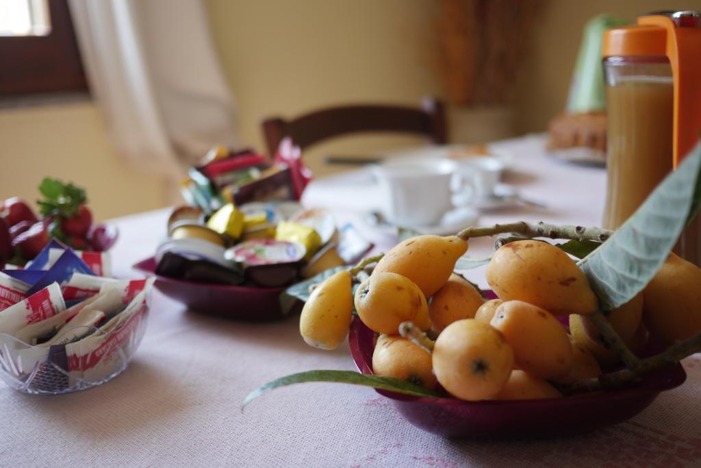 Bed And Breakfast Le Camelie Alghero Exterior foto